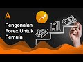 Pengenalan forex untuk pemula  amarkets