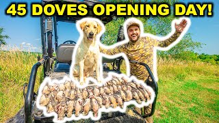 PUBLIC LAND Dove Hunting on OPENING DAY!!! (CATCH CLEAN COOK)  45 Doves Down