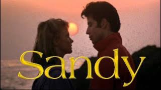 John Travolta ~ Sandy