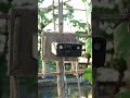 ลืมเรื่องเดินสายไฟไปได้เลย! จบปัญหาไม่มีปลั๊กไฟ! ไม่มี WiFi! กล้องวงจรปิดไร้สาย RECO 4G SOLAR