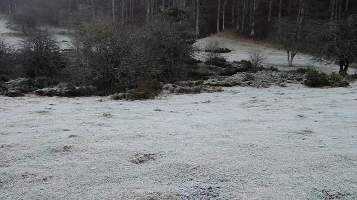 Tenperatura hotza, Aralarko Albin.