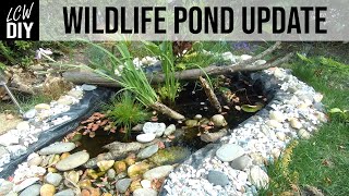 Making A Wildlife Pond Update | DIY Vlog #40 by LCW DIY 5,335 views 3 years ago 8 minutes, 40 seconds