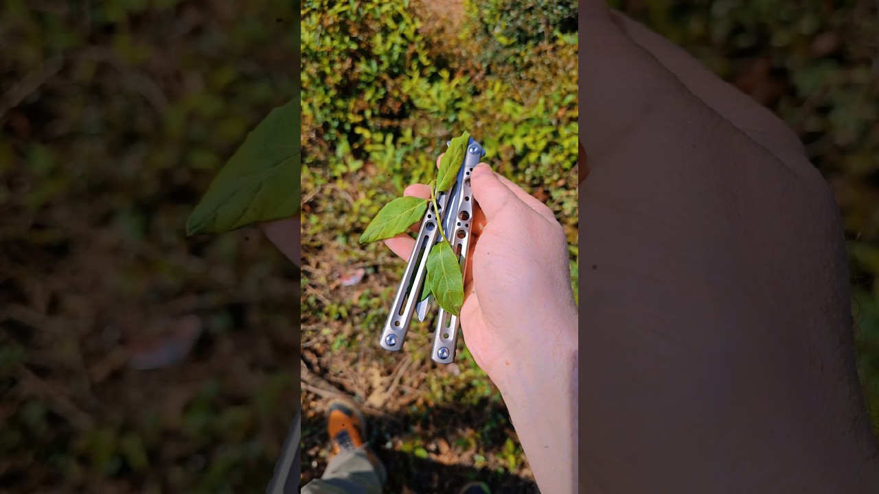 🦊 This is the Anser. ✨ #balisongflipping #balisong