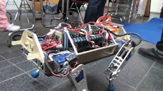 EPFL Robotics Festival