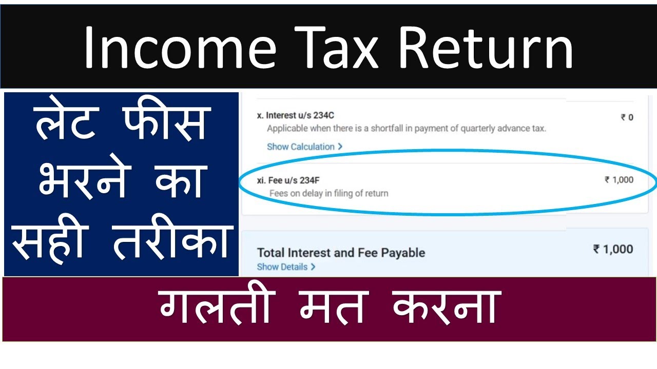 Income Tax Return Professional Fees