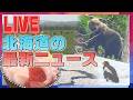 【LIVE】ニュースを24時間配信 どさんこワイドの最新ニュース STVニュース北海道24