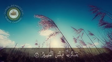 سورة المجادلة كاملة للقارئ الشيخ محمد الفقيه