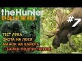 theHunter Call of the Wild  #7 тест лука,охота на лося,манок на кайота (+байки подписчиков)