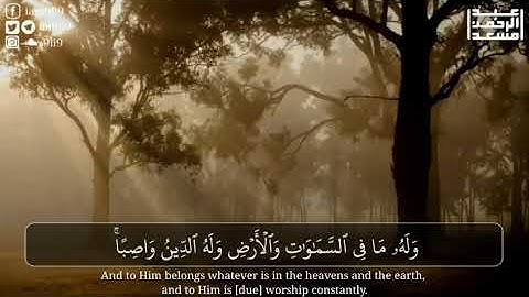 وَمَا بِكُمْ مِنْ نِعْمَةٍ فَمِنَ اللَّهِ ۖ ....سورة النحل للقارئ عبد الرحمن مسعد 🌸
