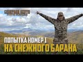 Попытка номер 1 на СНЕЖНОГО БАРАНА. СЕВЕРНАЯ ОХОТА - NORTH HUNTING. Охота на Горного барана.