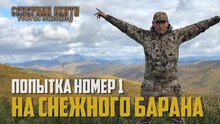 Попытка номер 1 на СНЕЖНОГО БАРАНА. СЕВЕРНАЯ ОХОТА - NORTH HUNTING. Охота на Горного барана.