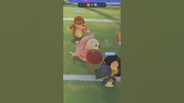 THIS GORILLA WALKS THE WALK