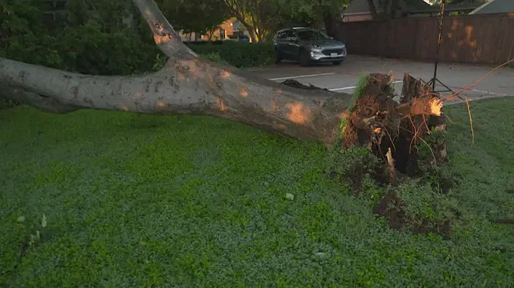 DFW weather: Downed trees, flooding and structural damage after severe storm hits Dallas