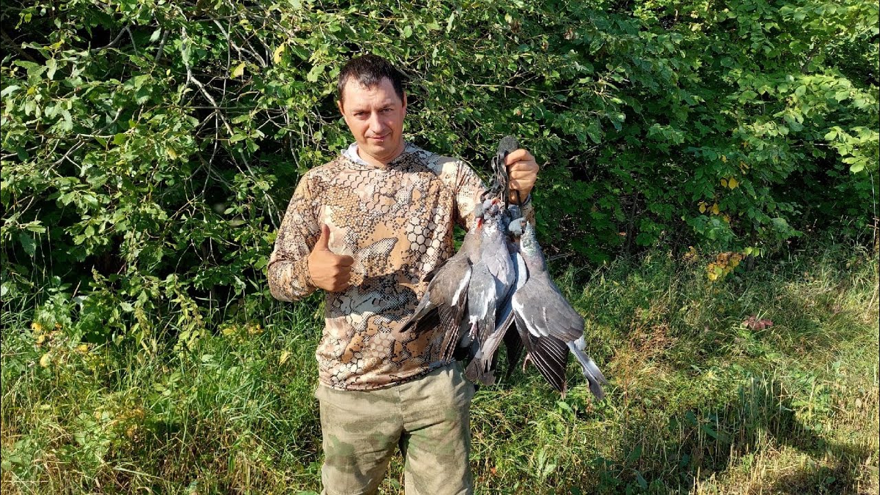 ОХОТА НА ГОЛУБЯ С БАТЕЙ , РЕЗУЛЬТАТ ЕСТЬ . - YouTube