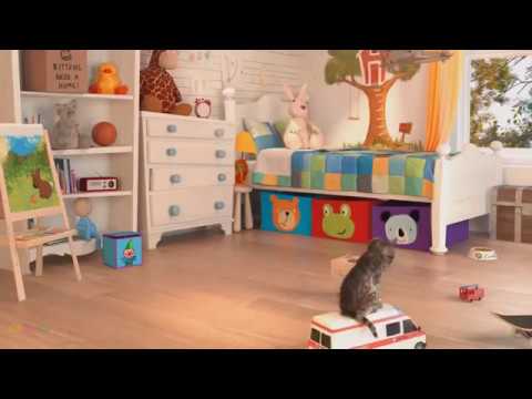 Kucing  lucu animasi  edukasi film  kartun  anak  vol 2 kucing  