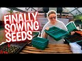 Random seed sowing tips while i get sowing