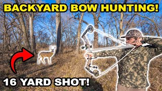 Bow Hunting Deer In My Backyard For The First Time Catch Clean Cook