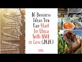 Top 16 Business Ideas You Can Start In Africa With $500 or Less, best business ideas in africa,