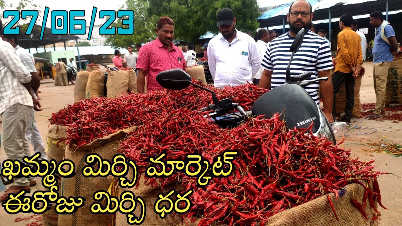 Khammam Mirchi Market Rate Today 27/06/23 ఖమ్మం మిర్చి మార్కెట్ ధర
