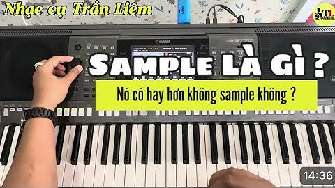 Sample đàn organ là cái gì? Nó có hay hơn không sample không? Bạn muốn mua đồ xịn hay đồ dỏm