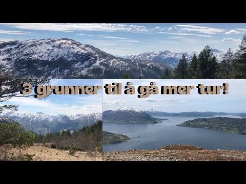Video: 15 Grunner Til At Du Aldri Skulle Reise Til Østerrike - Matador Network