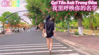 越南DJ 版 Gọi Tên Anh Trong Đêm (夜里呼唤你的名字)