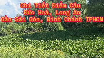 Câu Cá Rô Đồng - Điểm Câu Đức Hoà, Long An Gần Sài Gòn, Bình Chánh TPHCM (p8) - Hoàng Trúc fishing