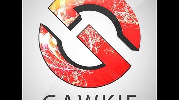 Gawkie iS | Mini #14