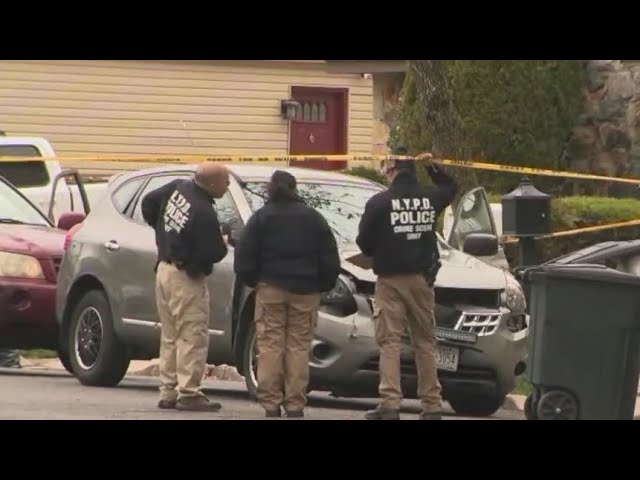 Machete Wielding Man Shot On Staten Island Street Nypd