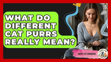 What Do Different Cat Purrs Really Mean? - Happy Cat Handbook