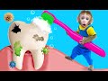 Kiki monkey try hard to brush teeth in the toilet to treat toothache for friend  kudo animal kiki