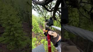Zipline at Crater Lake, Southern Oregon