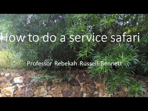 service safari method