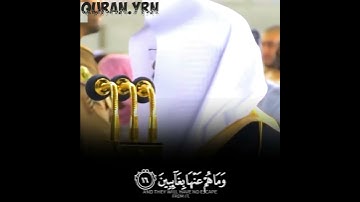 ان الابرار لفي نعيم| تلاوة جميلة جدًا للشيخ ياسر الدوسري