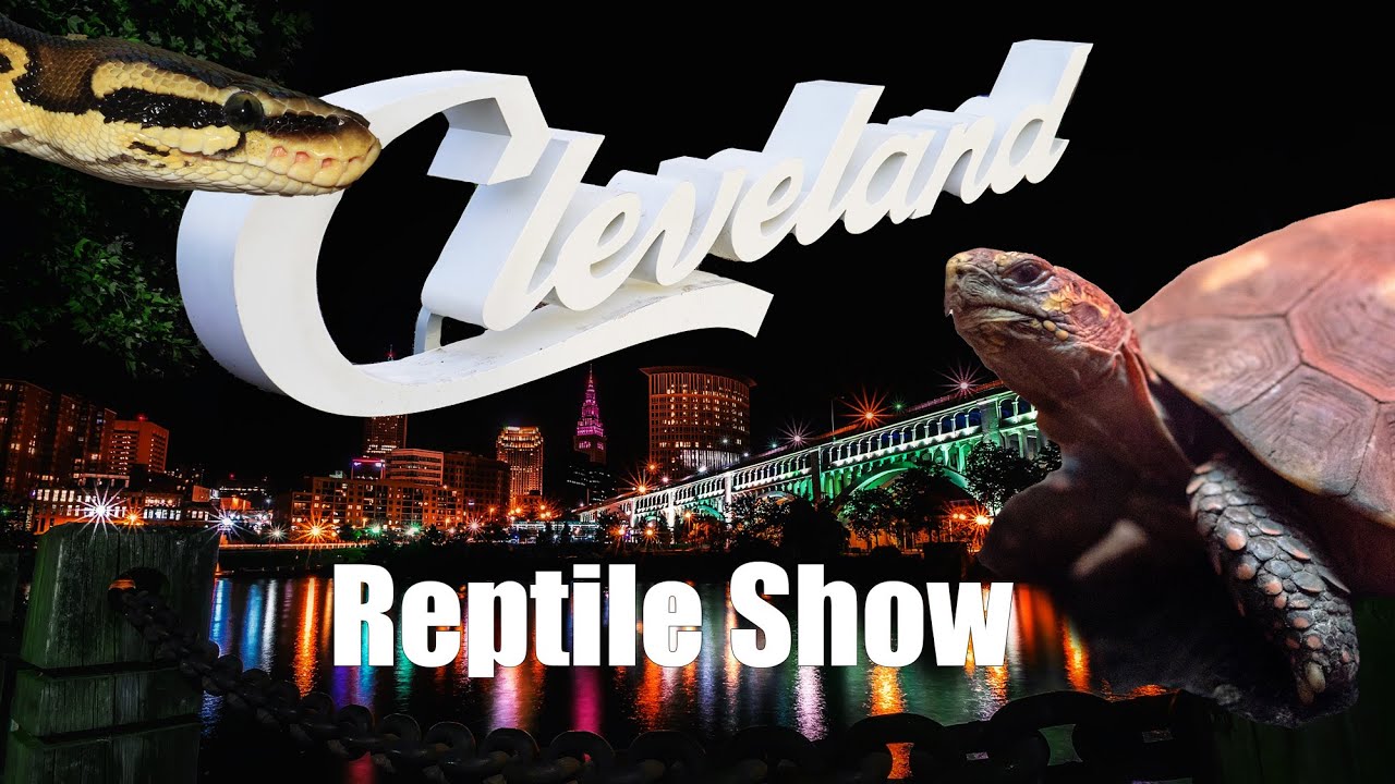 Is The Best Reptile Show in Cleveland!?! YouTube