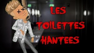 Lhistoire Des Toilettes Hantees Msp