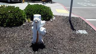 Roseville WalMart Parking Lot