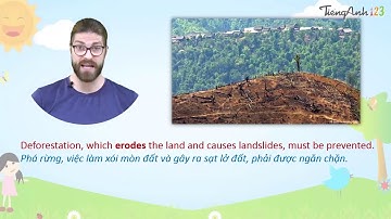 unit 9 preserving the environment english 10