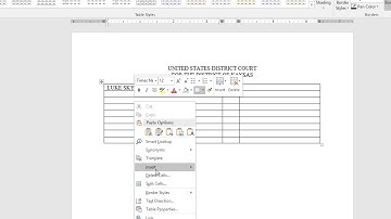 Case Caption Building Demo Using Word Tables