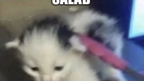 Aint It Strange? //  Beetlejuice: The Musical The Musical The Musical //