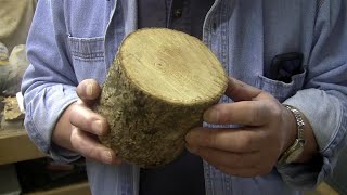 Ginkgo Biloba Salt Cellar! - Wood Turning