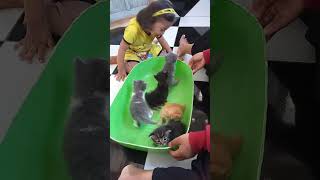 Download Lagu dpet mainn bru drmh simbh.   jngn lpa like komen \u0026 sharenya ya shbt MP3