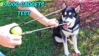 5 Dog Gadgets Put to the Test - Part 10 5 Dog Gadgets Put to the Test - Part 10