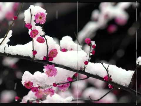 Antonio Vivaldi (+) 비발디: 사계 '봄' 3악장 - Antonio Vivaldi