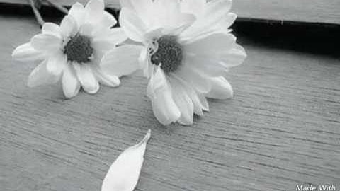 سبحان الله ما أجمل صوت هذا القارئ.رعد محمد الكردي تلاوة رائعة من سورة المؤمنون (97_118)