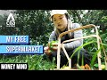 Money Does Grow On Trees: China Forager Finds Free Food In City Forests | Money Mind | Savings