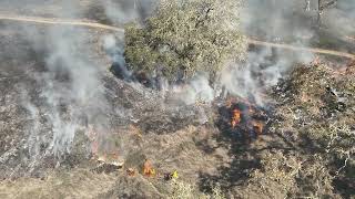 Sonoma Valley Regional Park prescribed burn