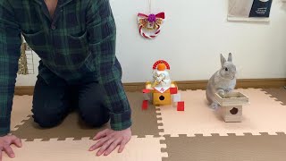 うさぎと飼い主によるご挨拶