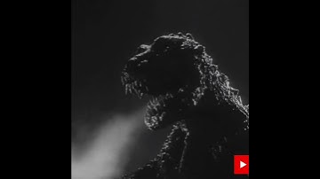 #Evolution of Godzilla