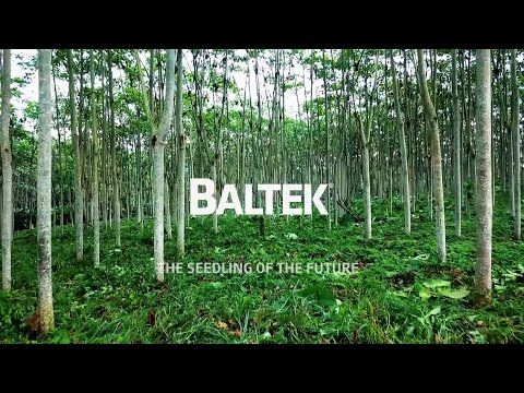 BALTEK® SBC - From balsa seed to the final product.